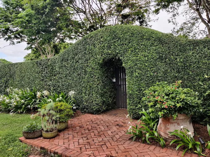 Manicured archway hedge with garden gate