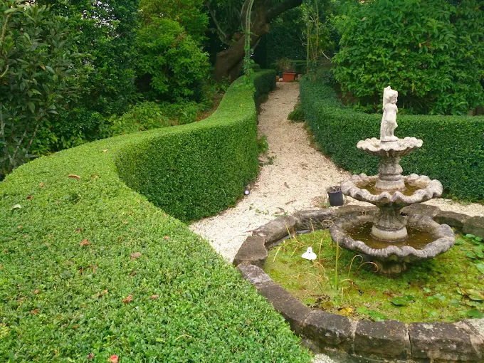 Curved box hedge along a path to a garden fountain