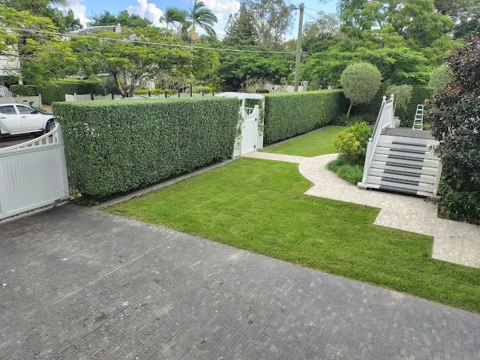 Freshly mowed lawn beside a trimmed hedge and driveway